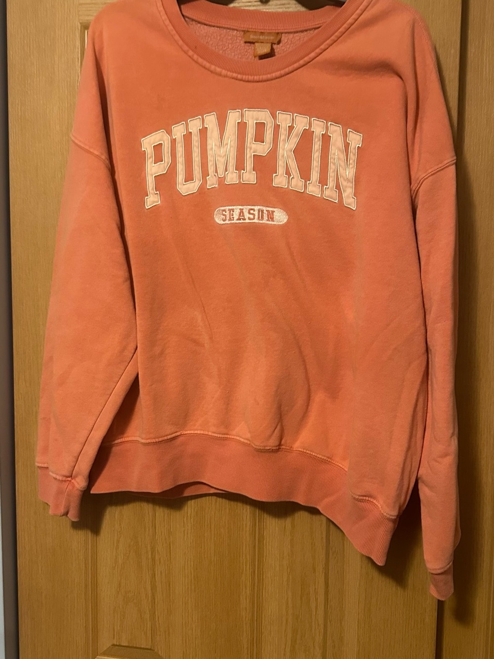 Coral 'Pumpkin Season' Cozy Crewneck Sweatshirt